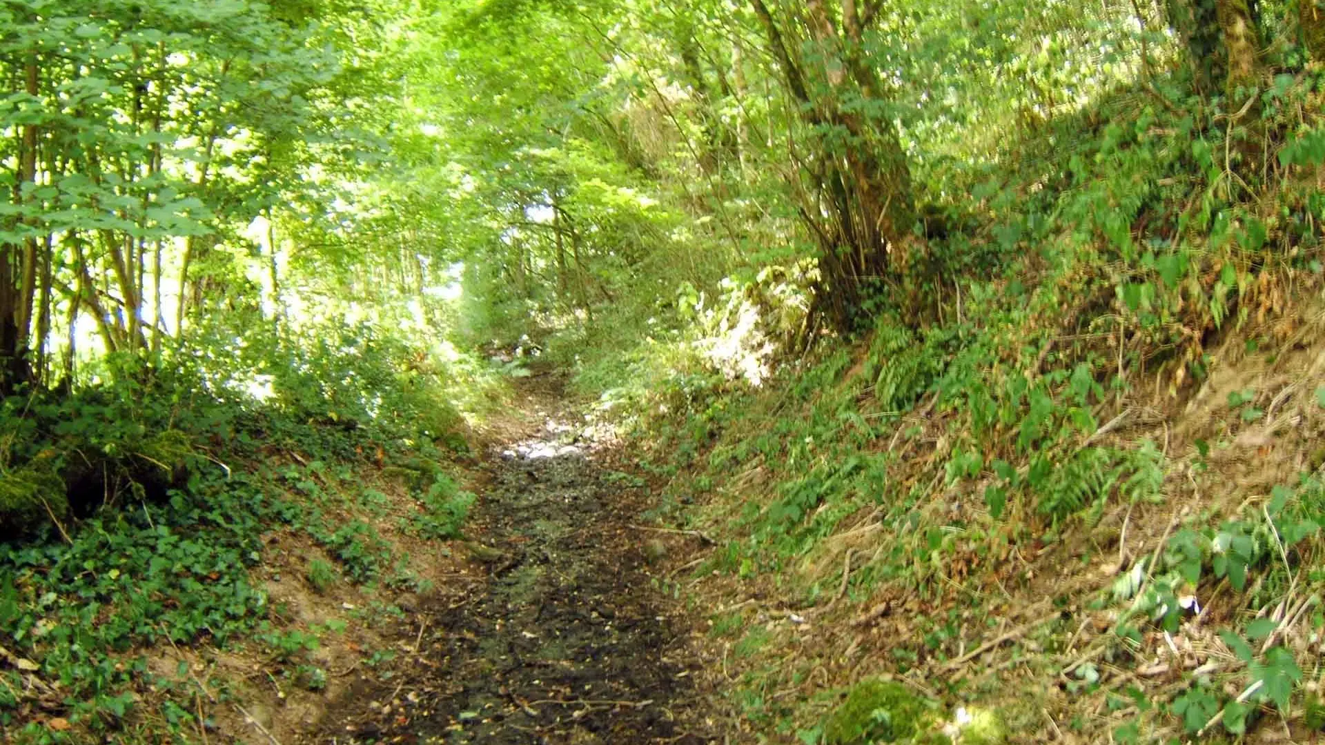 Chemin des deux moulins_4