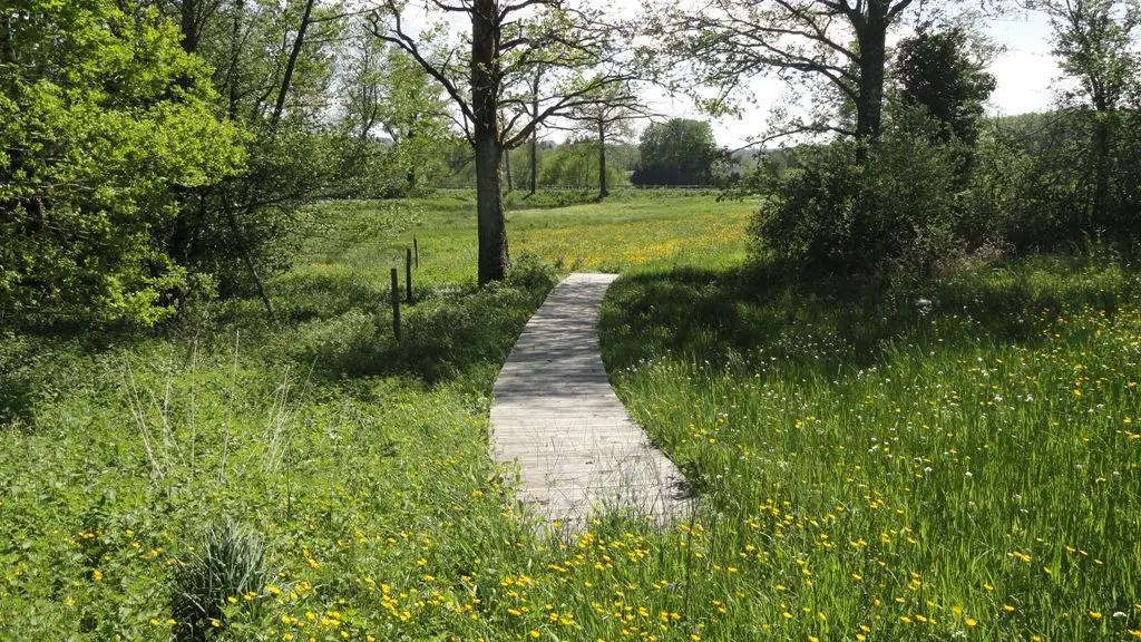 Cheminement en bois_1