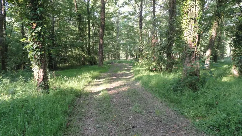 le sentier du bois des chapelles_4