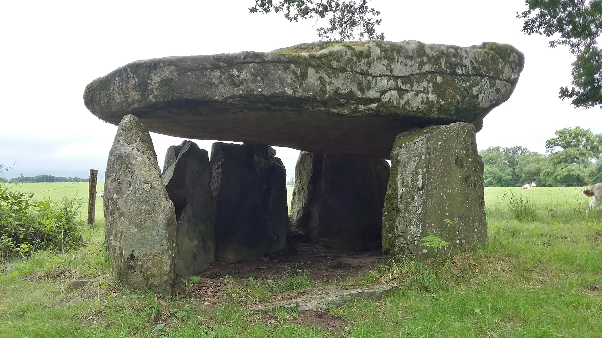 Chemin de la vallée du Vincou_2