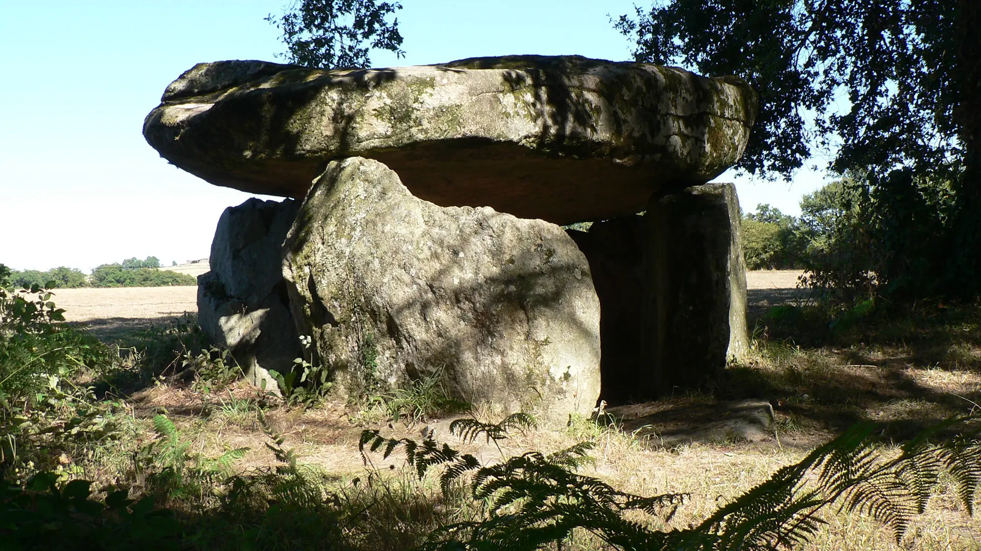 Chemin de la vallée du Vincou_4