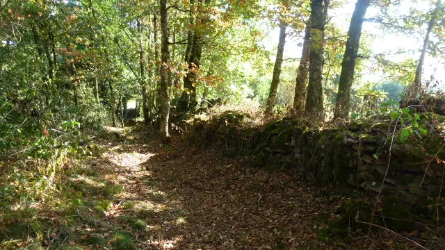 Sentier de la Couze_5