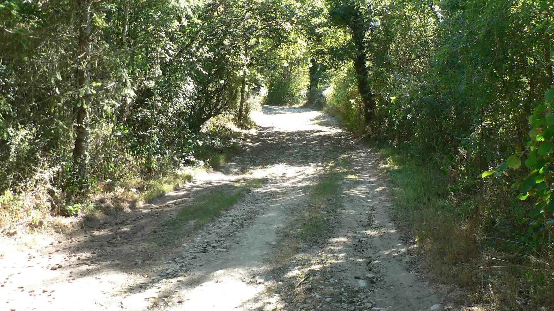 Chemin de la Galache à Lassalle_1