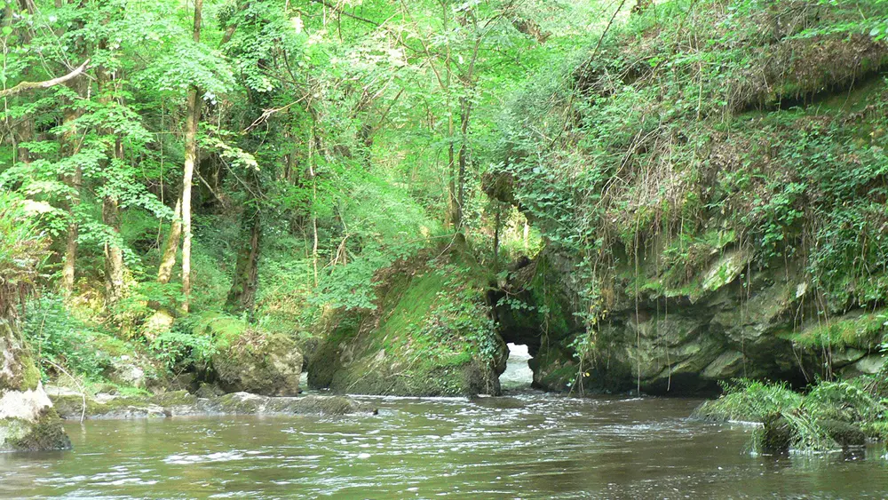 Chemin de la Galache à Lassalle_3