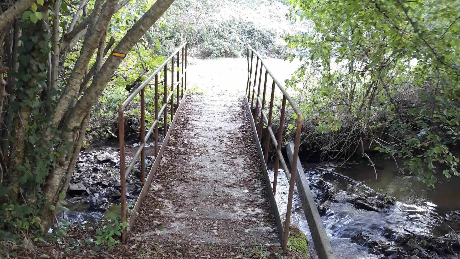 Sentier les biches_2