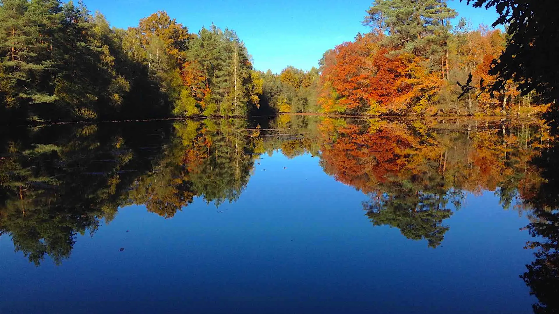 Sentier des étangs_4