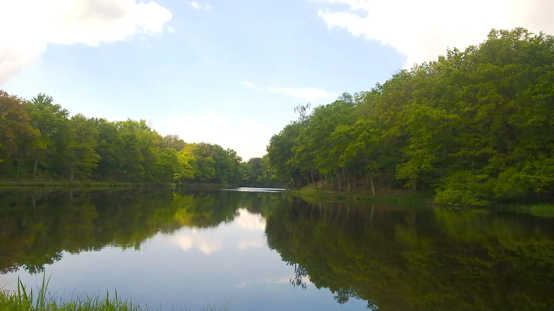 Sentier des étangs_3