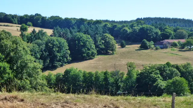 Sentier entre architecture et nature_3