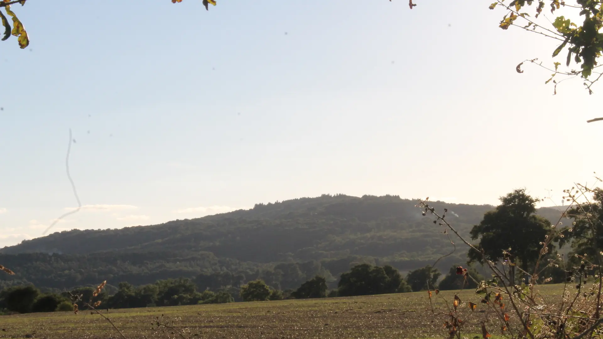 Sentier du bois des fées_3