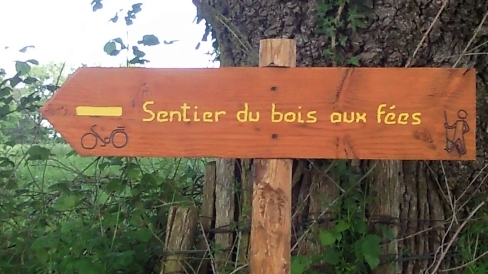 Sentier du bois des fées_5
