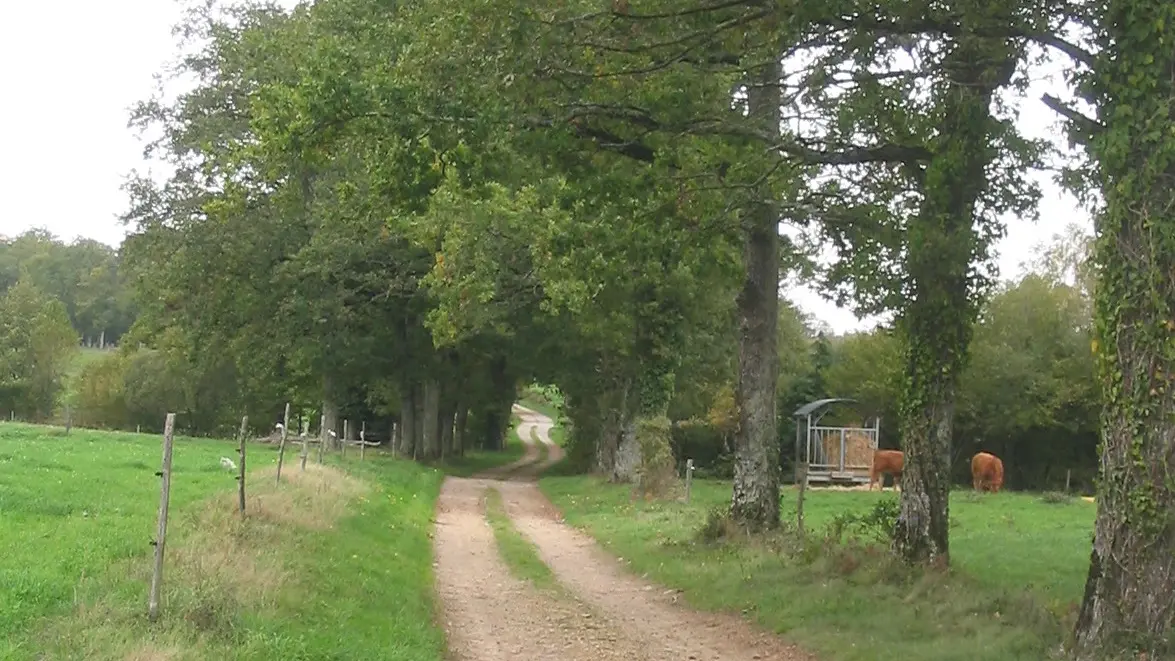 Circuit du Pont Colombier_4