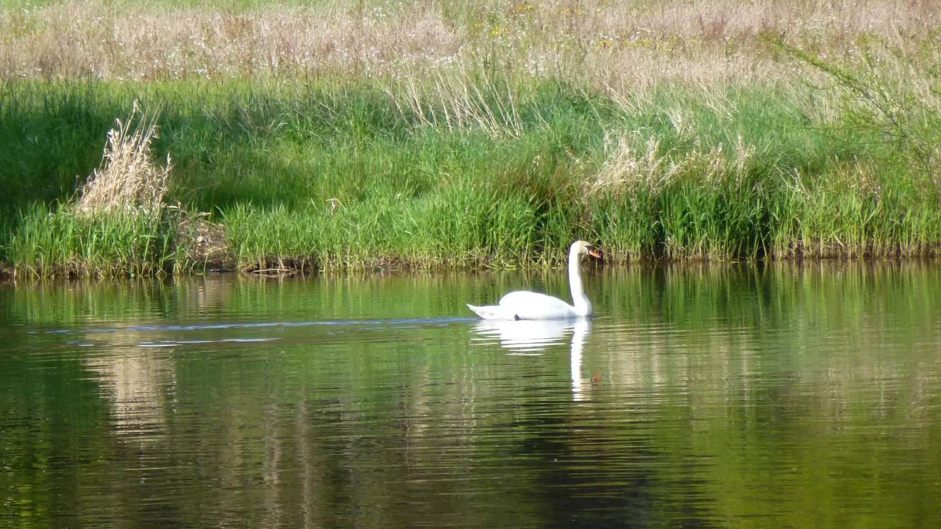 Promenade du Normandie_4
