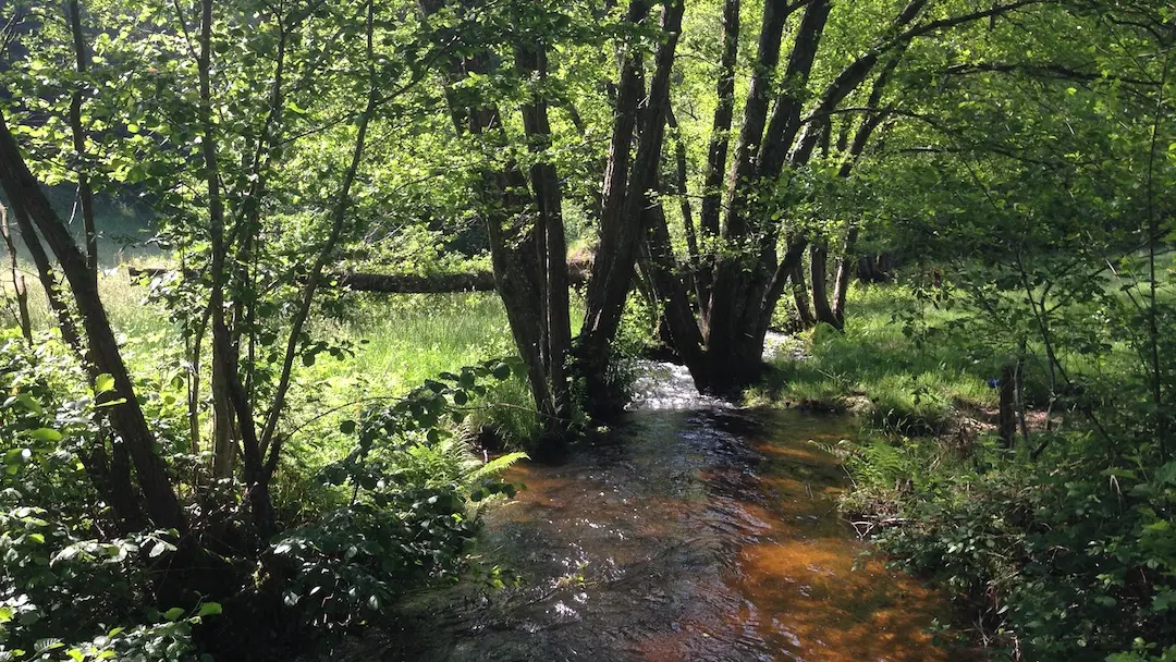 Chemin de la papeterie_5