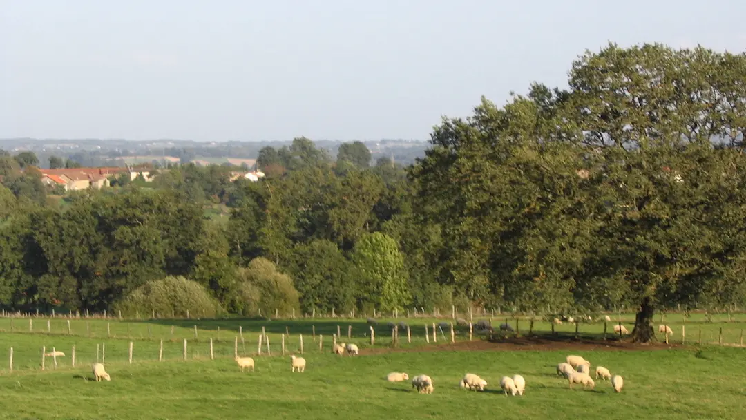 Sentier des bergères_3
