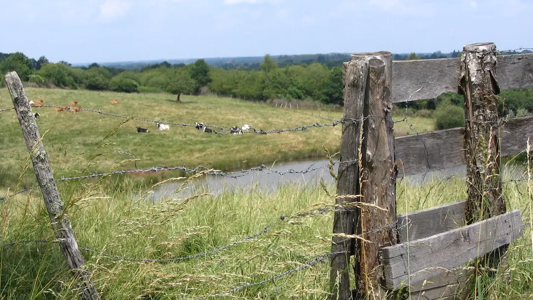 Sentier des bergères_4