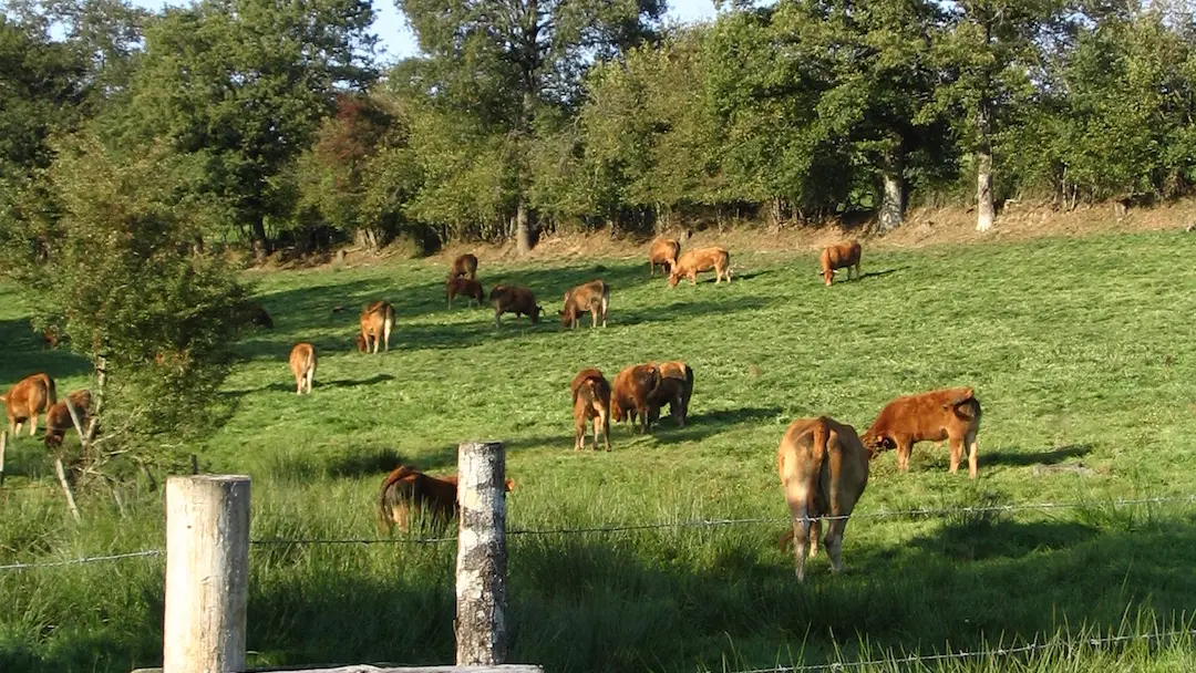 Sentier des bergères_6