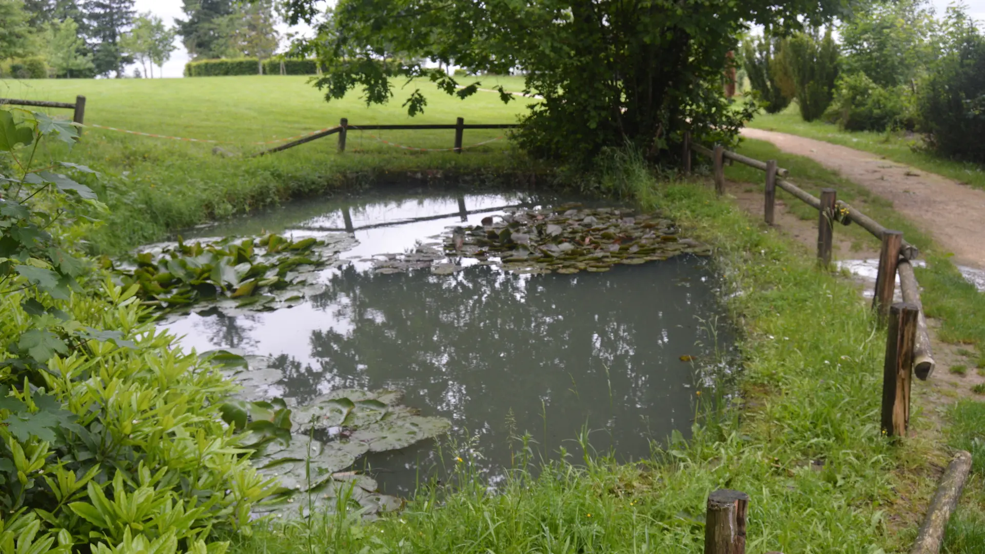 Sentier de plein-ciel_2
