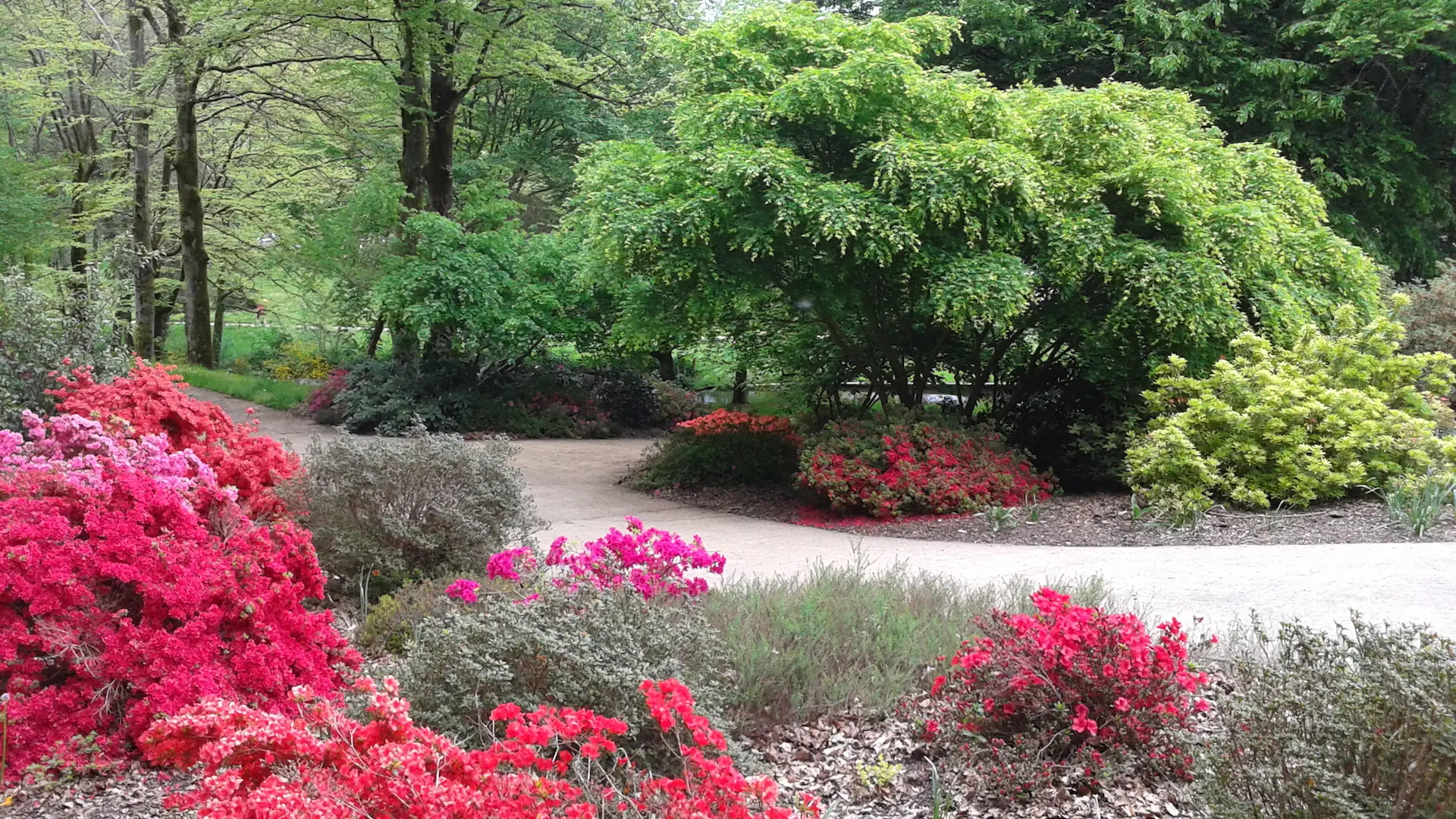 Sentier Bastide-Uzurat_1