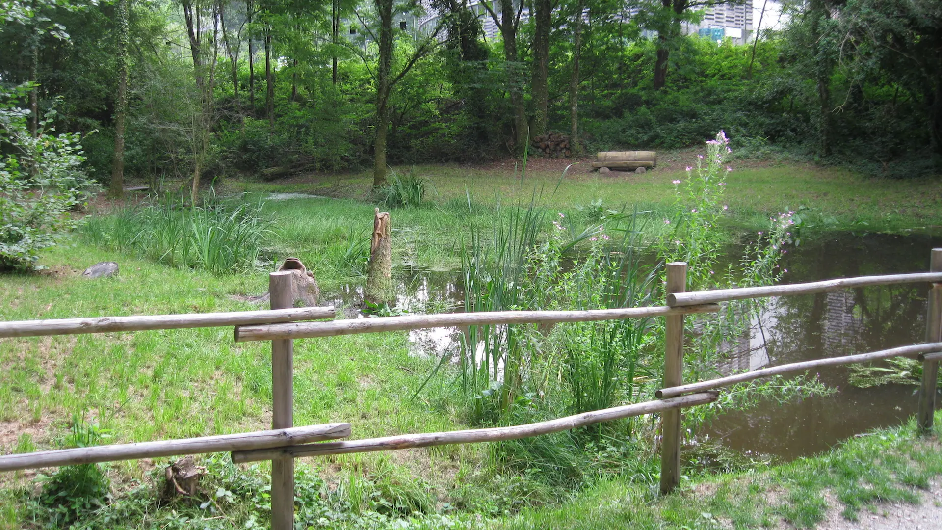 Sentier Bastide-Uzurat_3