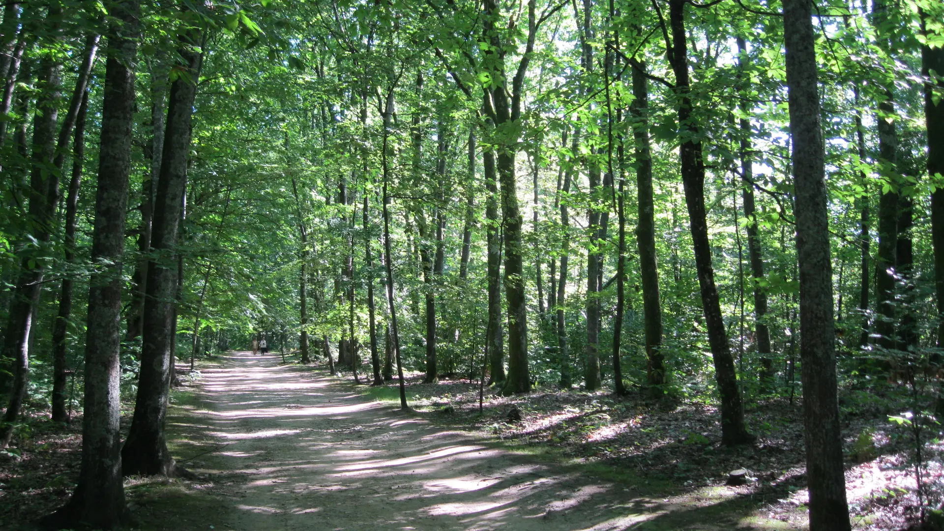 Sentier Bastide-Uzurat_4