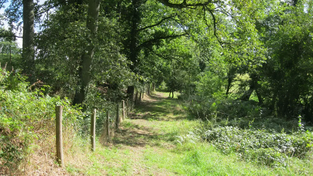 Liaison parc du Mas-Jambost - Bois des Vaseix_1