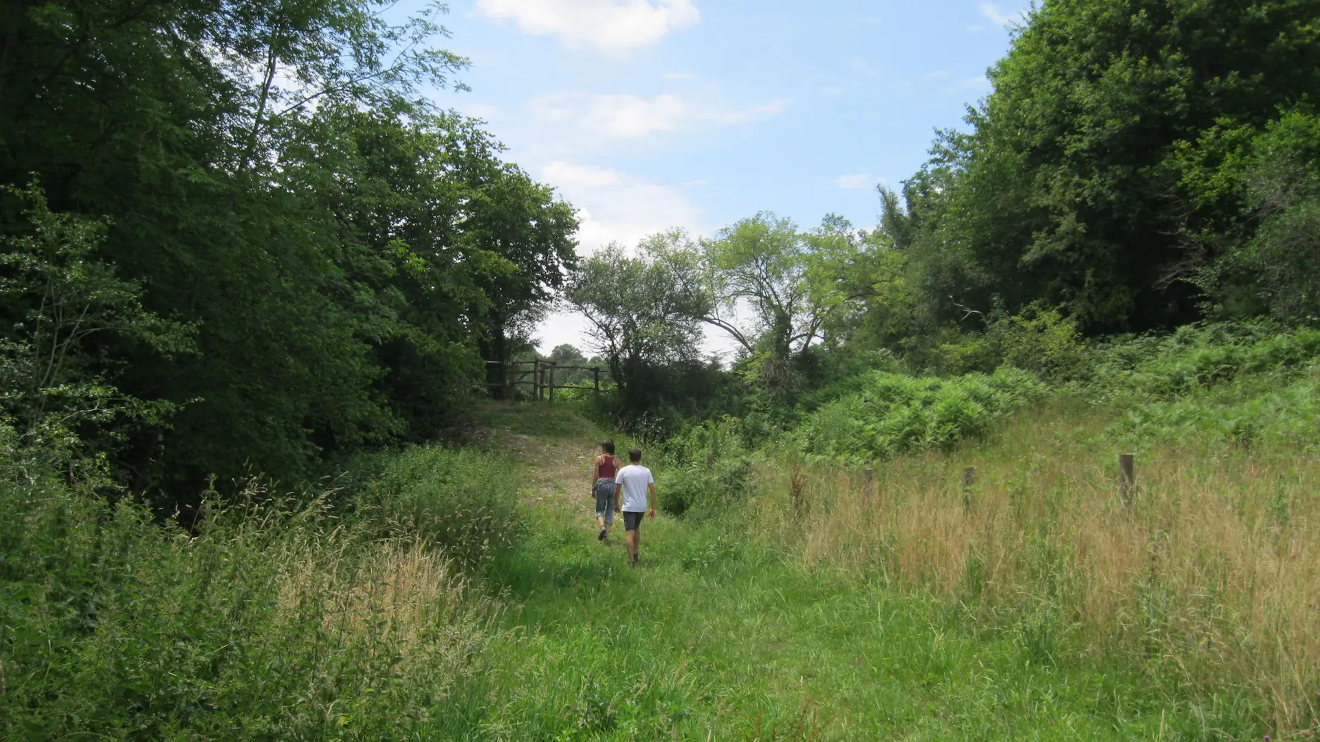 Liaison parc du Mas-Jambost - Bois des Vaseix_2