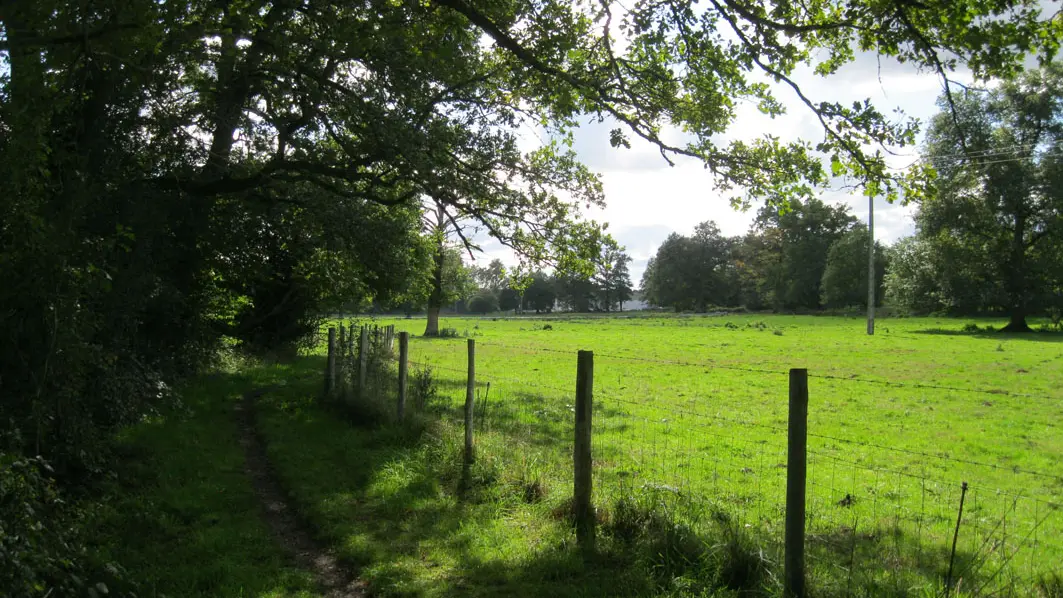 Liaison parc du Mas-Jambost - Bois des Vaseix_3