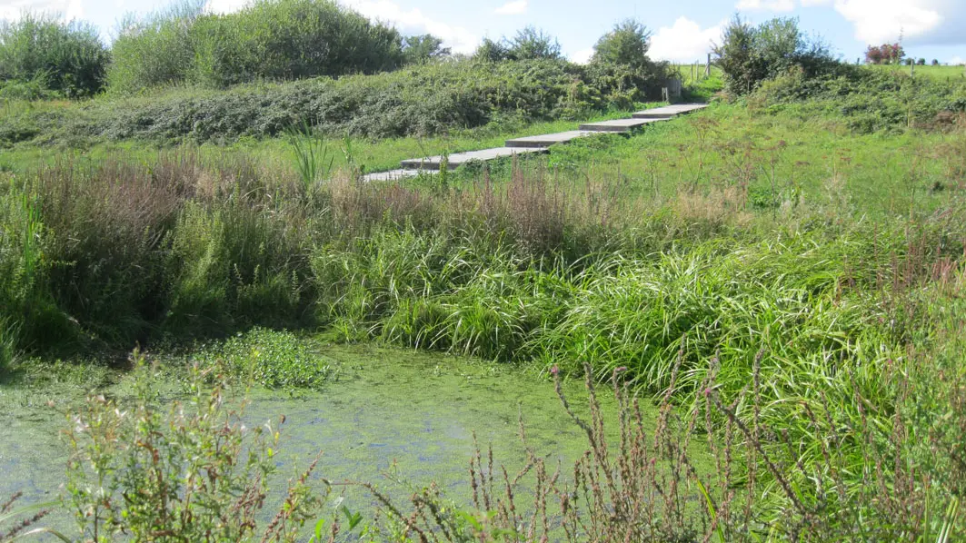 Liaison parc du Mas-Jambost - Bois des Vaseix_4