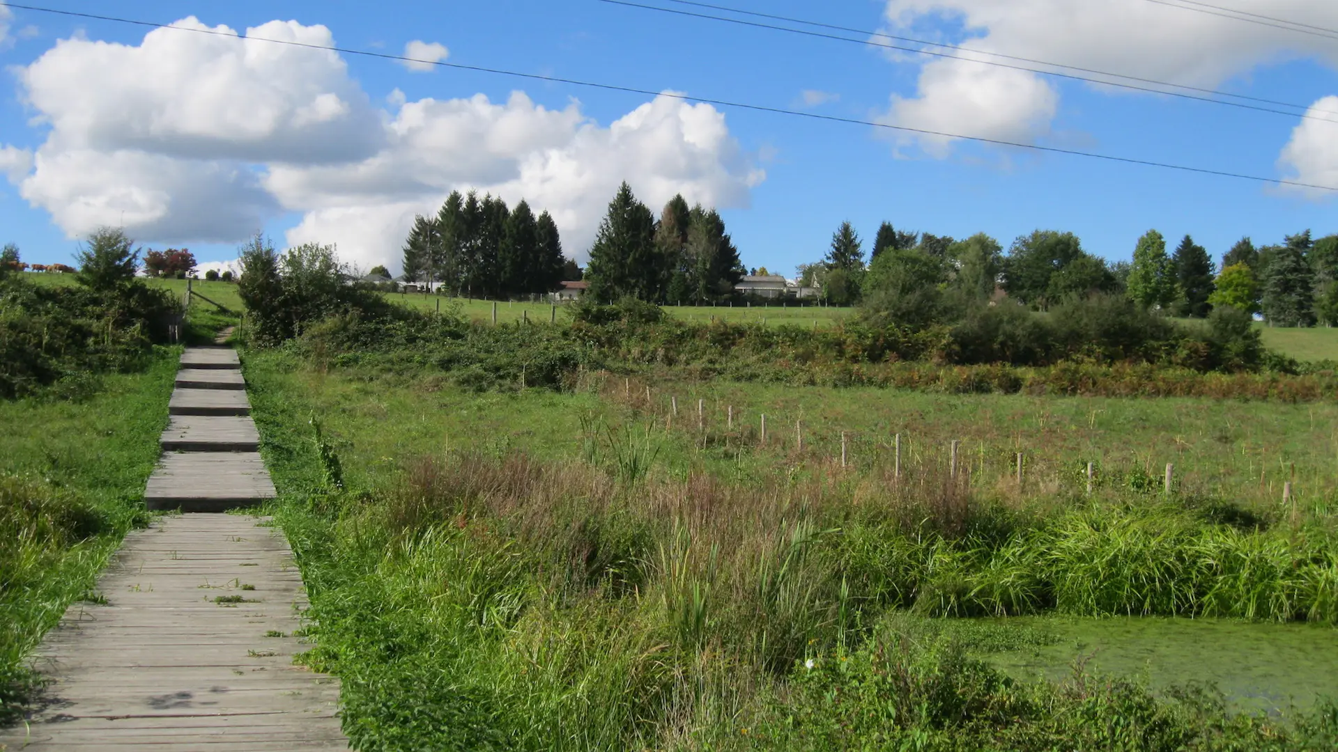 Liaison parc du Mas-Jambost - Bois des Vaseix_5