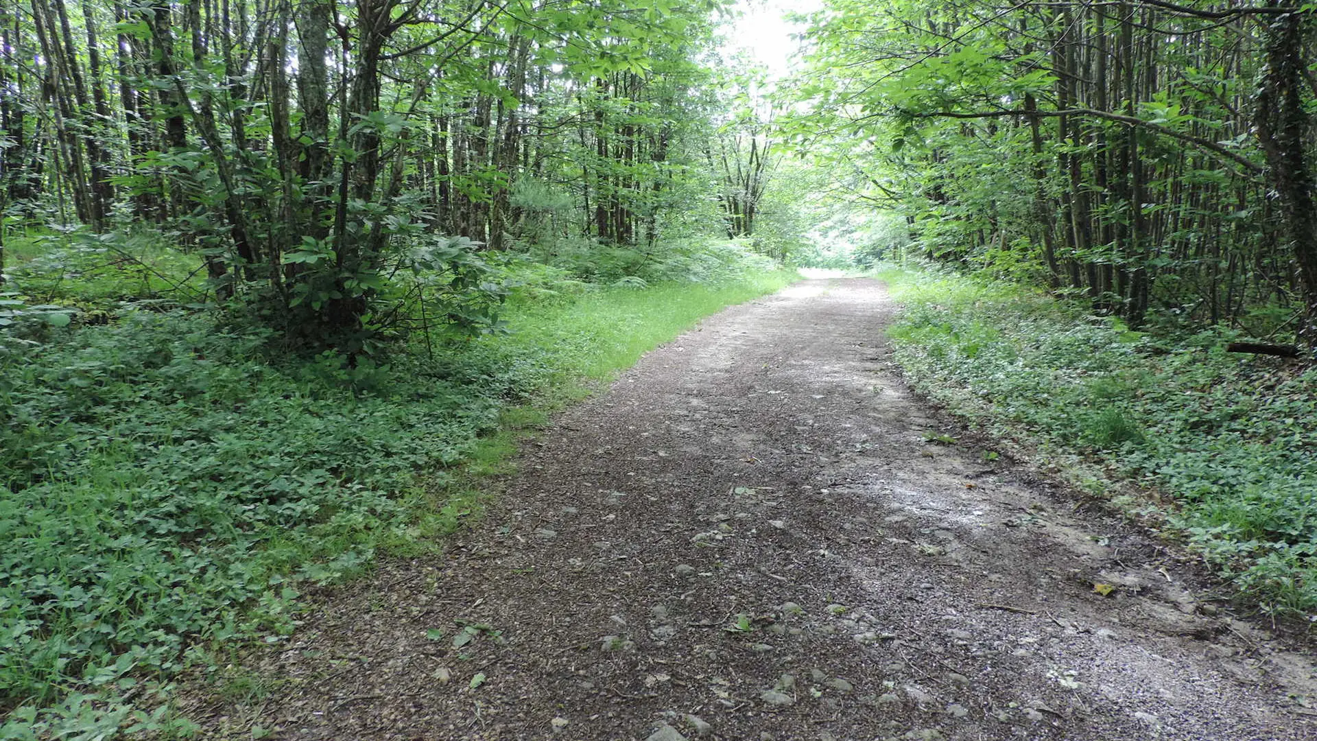 Chemin des collines_2