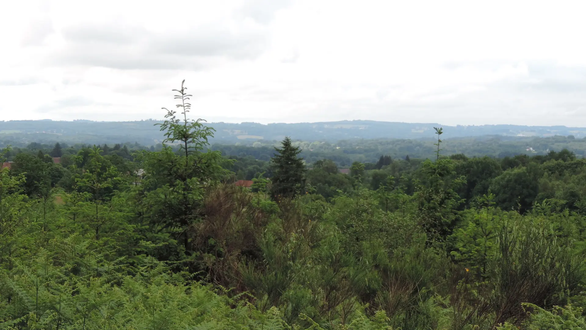 Chemin des collines_4