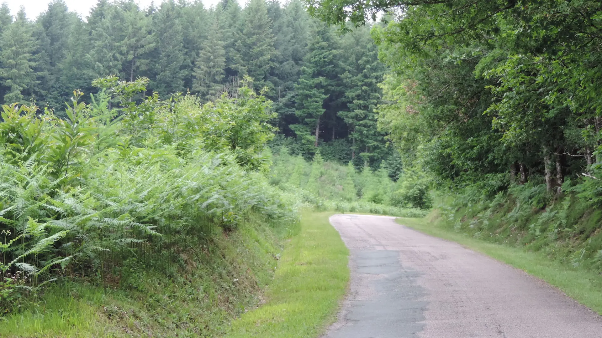 Chemin des collines_5