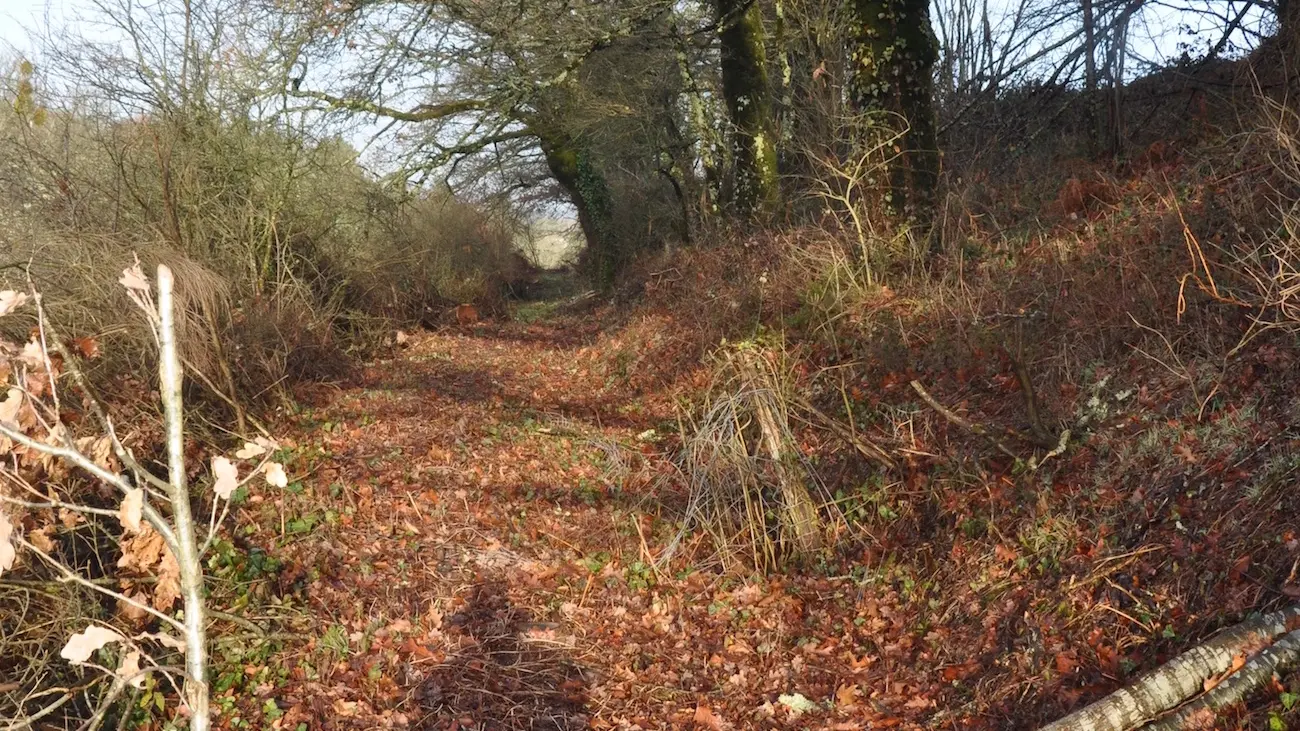 Sur les pas des Lémovices_4