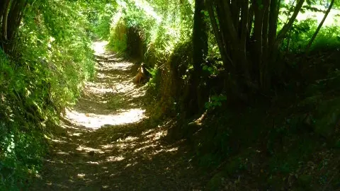 Liaison Razès-Santrop_3