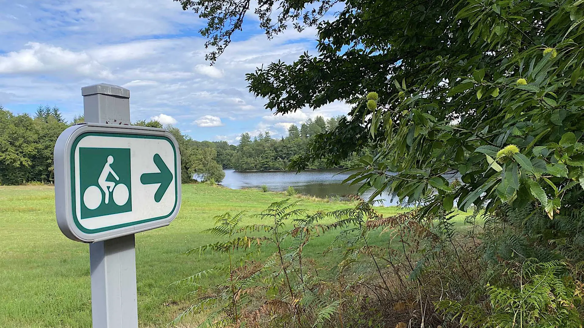 Boucle cyclotouristique Limoges Saint-Pardoux Bénévent Limoges_8