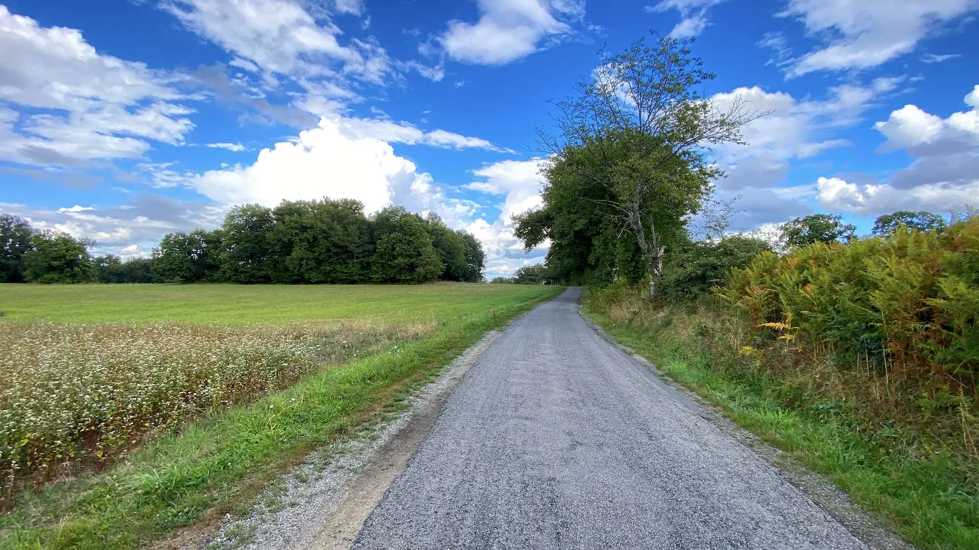 Boucle cyclotouristique Limoges Saint-Pardoux Bénévent Limoges_14