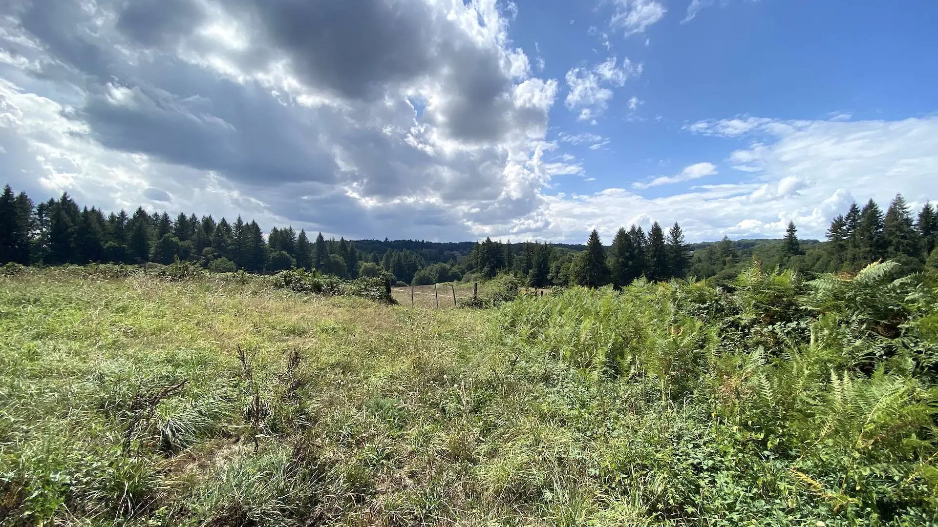 Boucle cyclotouristique Limoges Saint-Pardoux Bénévent Limoges_21