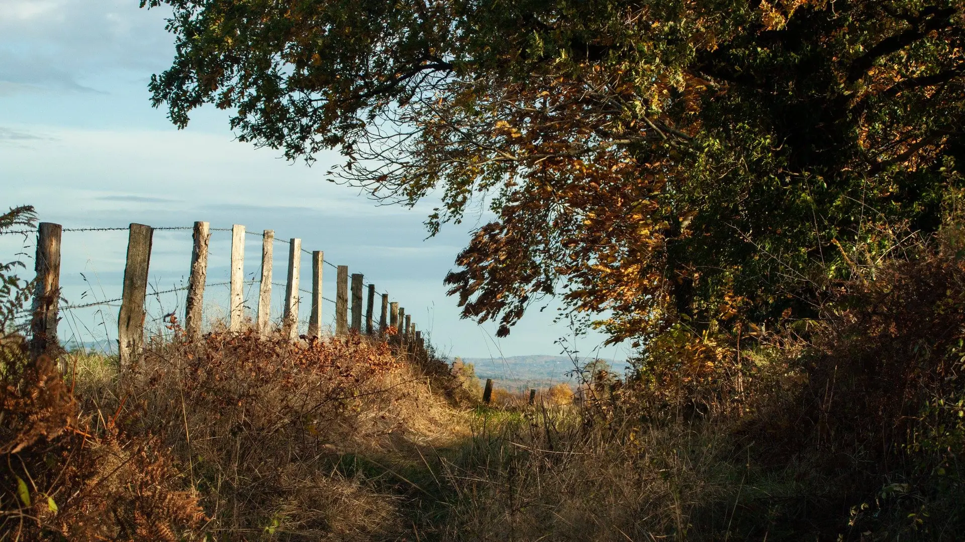 La Traversée du Haut Limousin_5
