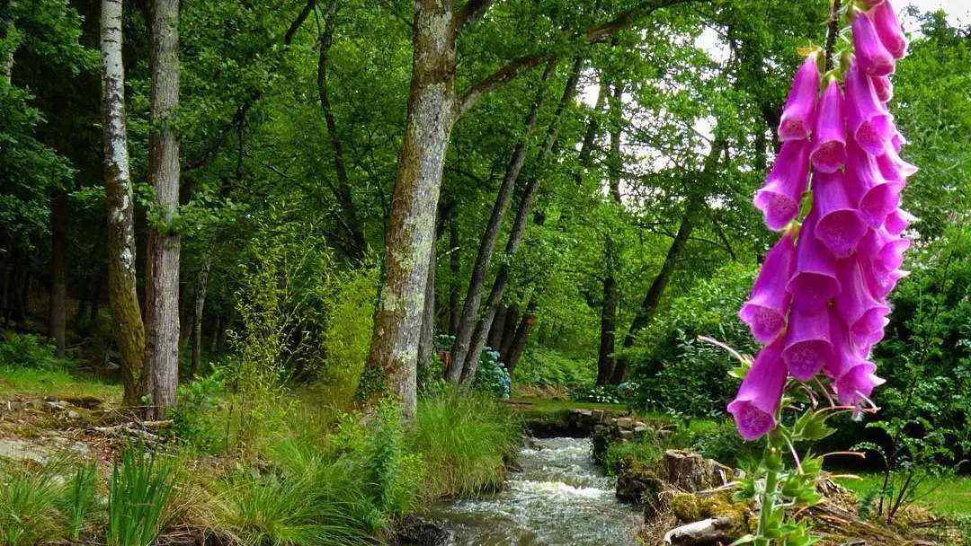 La Traversée du Haut Limousin_6