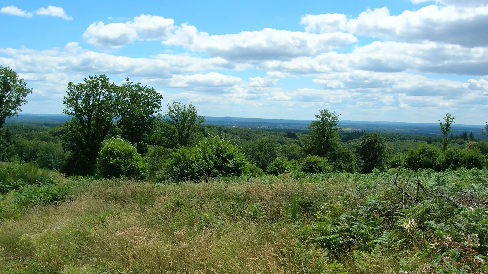 GRP®  des Monts de Blond étape 2 : Mortemart - Blond_4