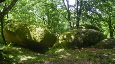 GRP®  des Monts de Blond étape 2 : Mortemart - Blond_5