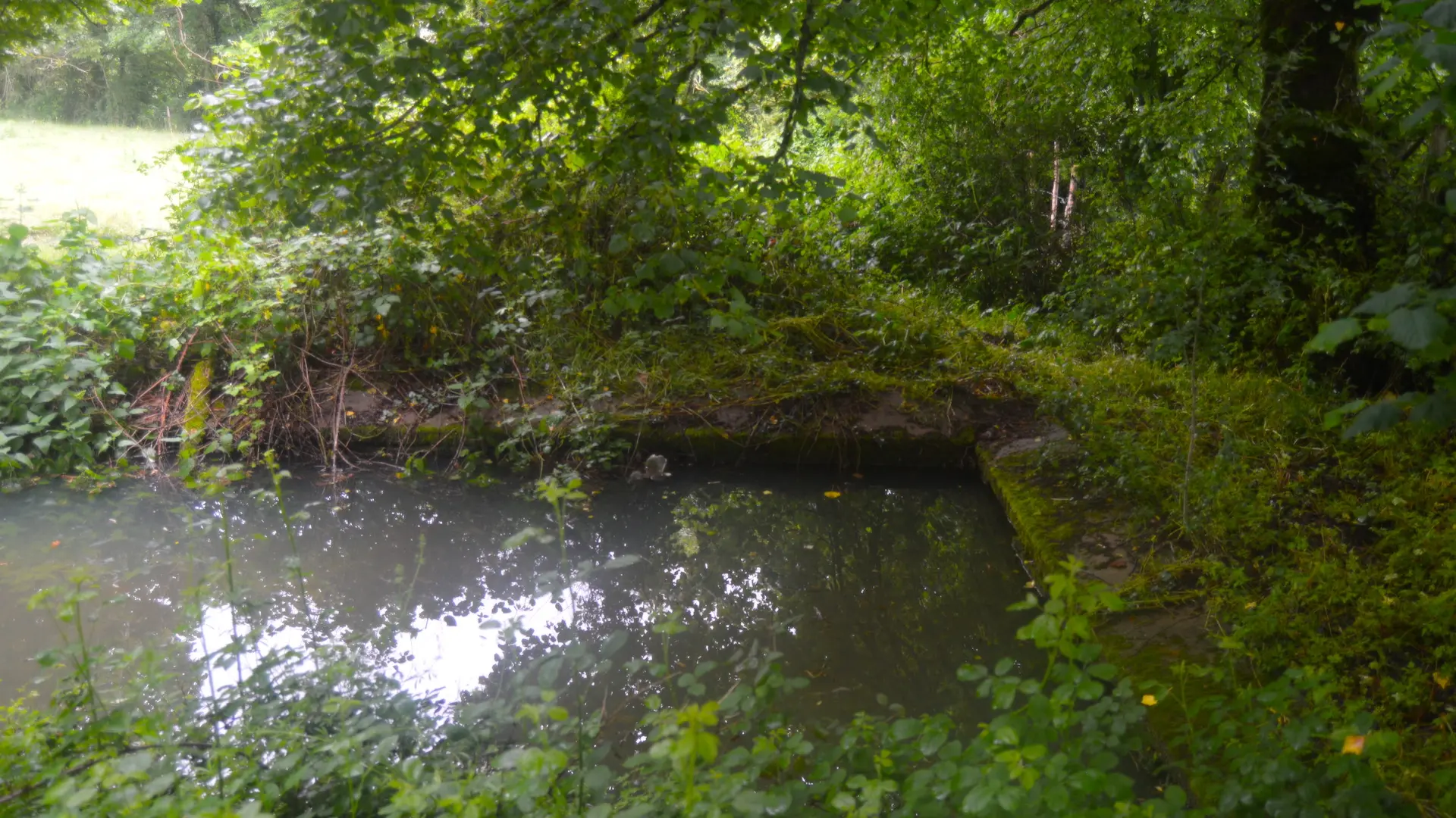 Sentier des écrevisses_3