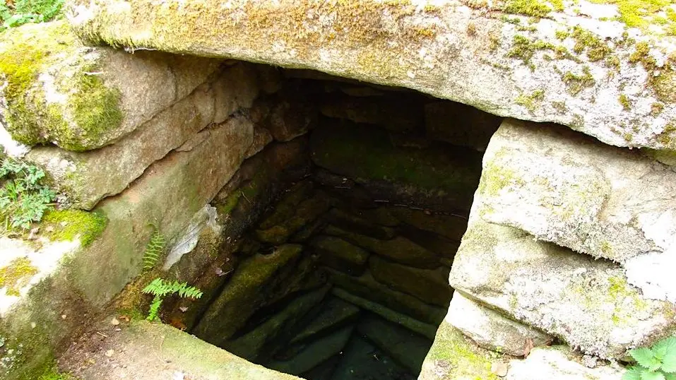 Sentier de la forêt_3