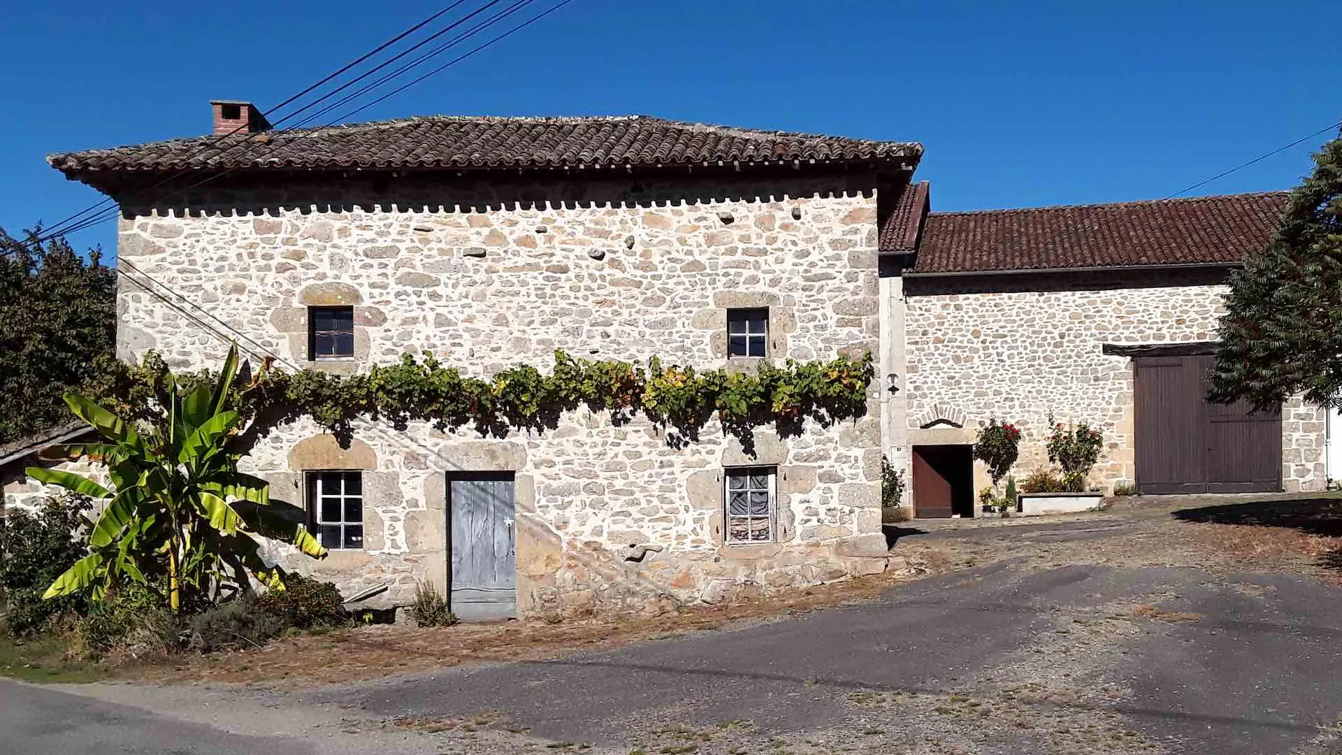 Sentier de la forêt_2