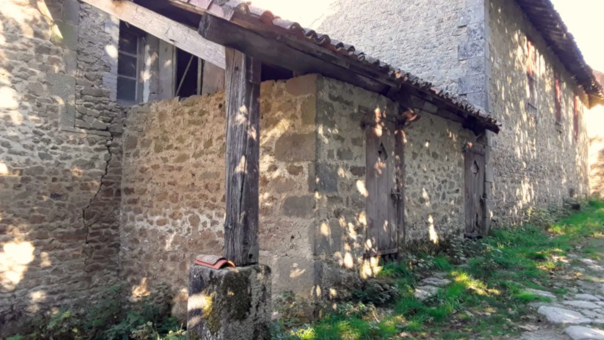 Sentier de la forêt_4