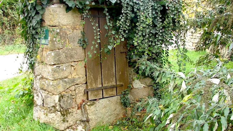 Sentier de la forêt_6