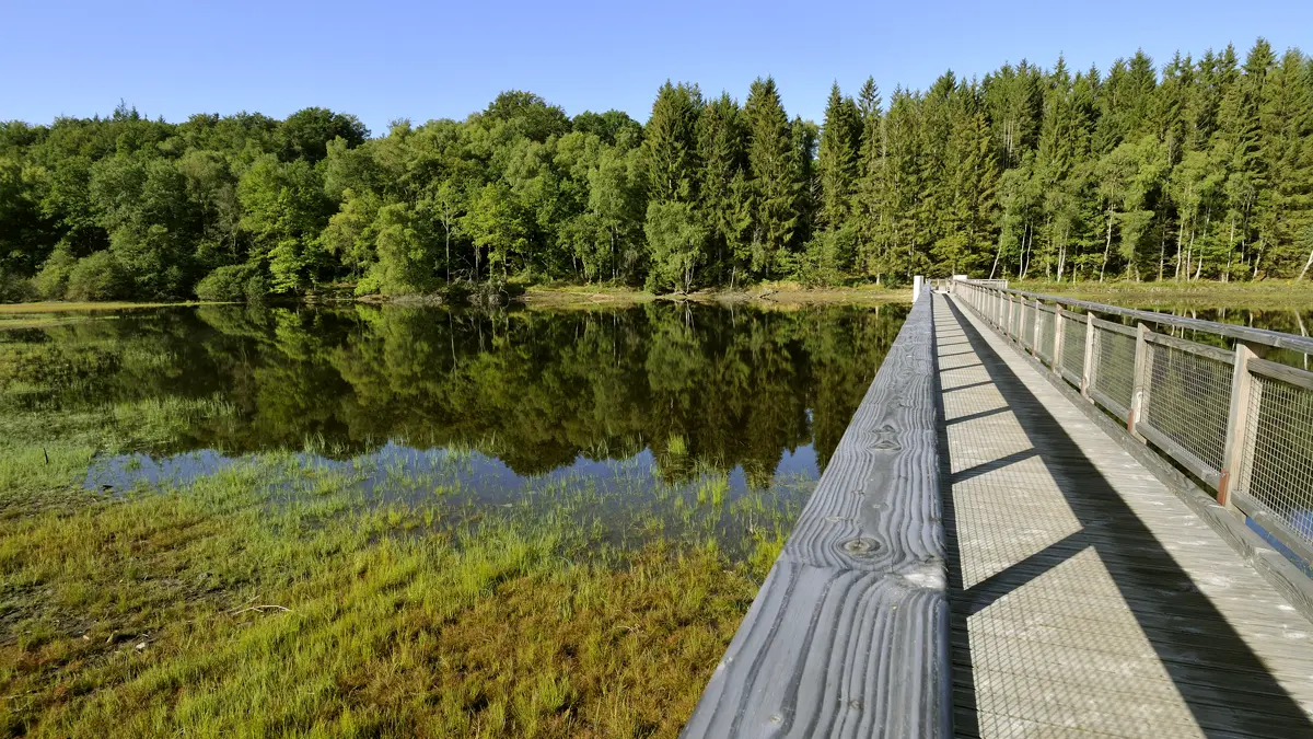 Sentier de rives du Lac de Vassivière_1
