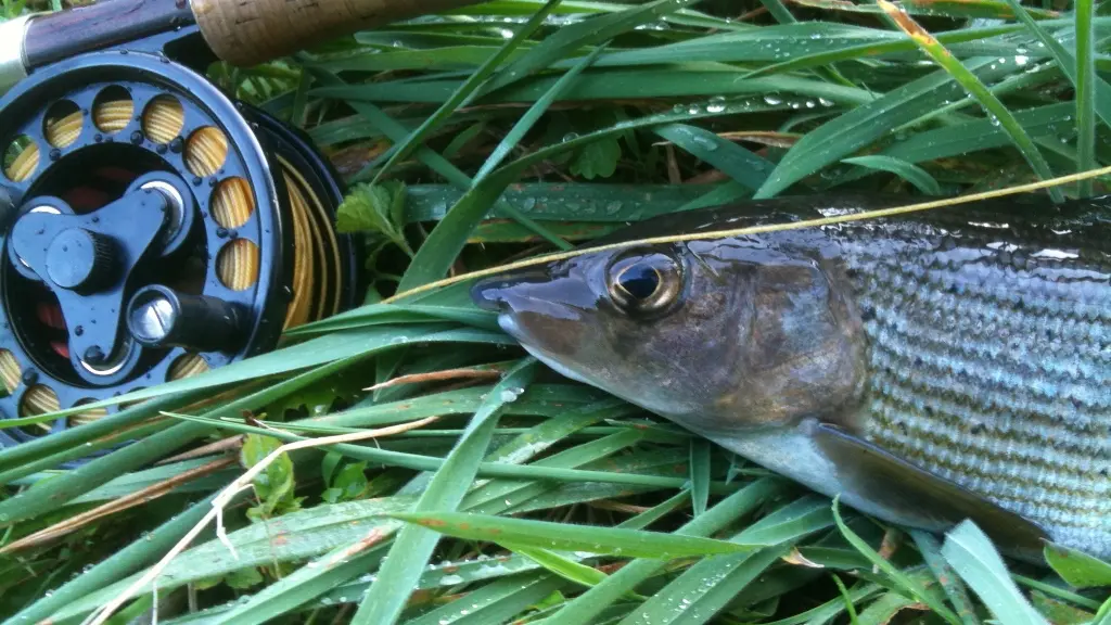 La Pêche à Vassivière_2