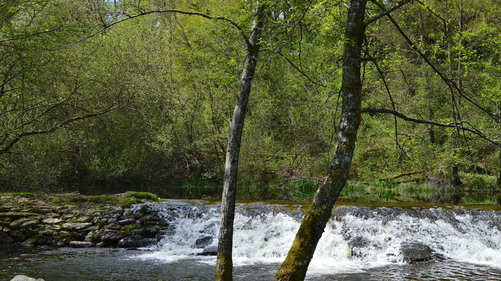 Camping municipal La Sève_8