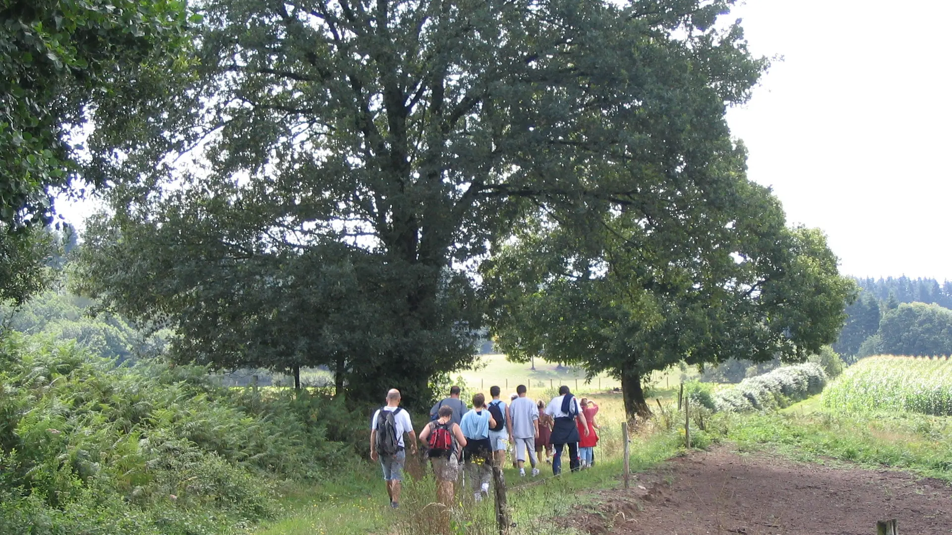 Randonneurs sur le chemin entre Vilalebesoin et La Côte_2